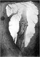 KLICKA F&Ouml;R TR&Auml;D!