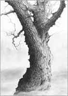 KLICKA F&Ouml;R TR&Auml;D!