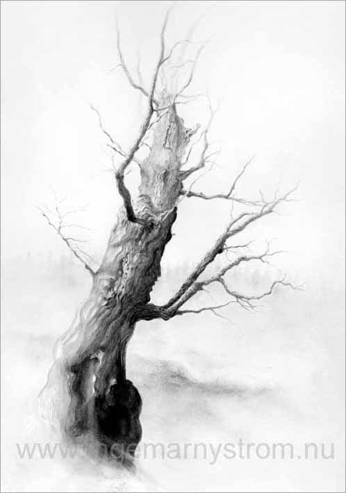 KLICKA F&Ouml;R MENY!