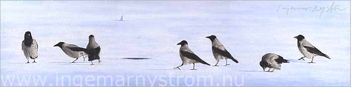 sju kråkor på isen