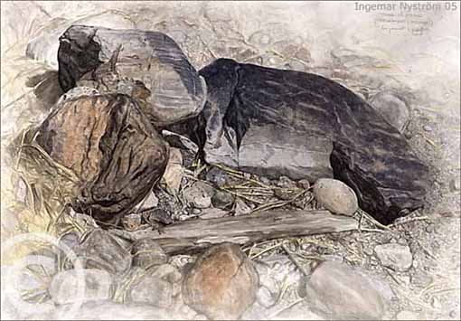 Stenar p&aring; strand