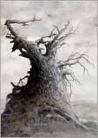 KLICKA F&Ouml;R TR&Auml;D!